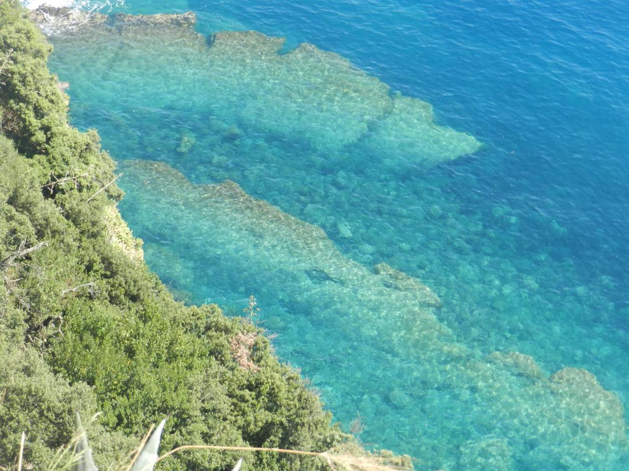 Appartement Sea View Garden à Corniglia Extérieur photo