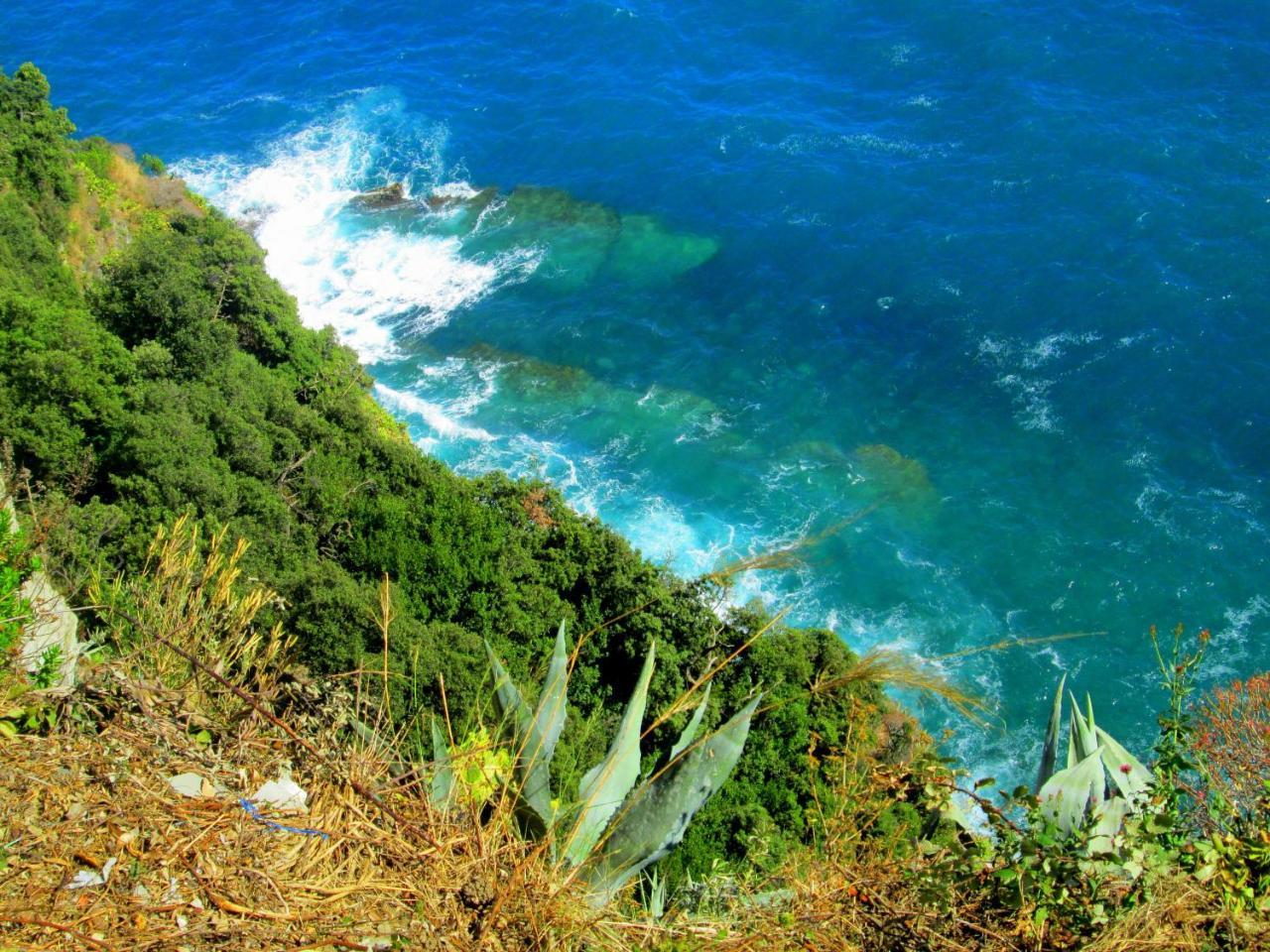 Appartement Sea View Garden à Corniglia Extérieur photo