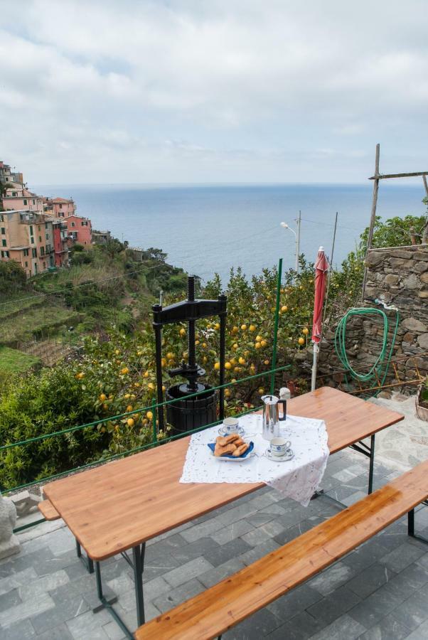 Appartement Sea View Garden à Corniglia Extérieur photo