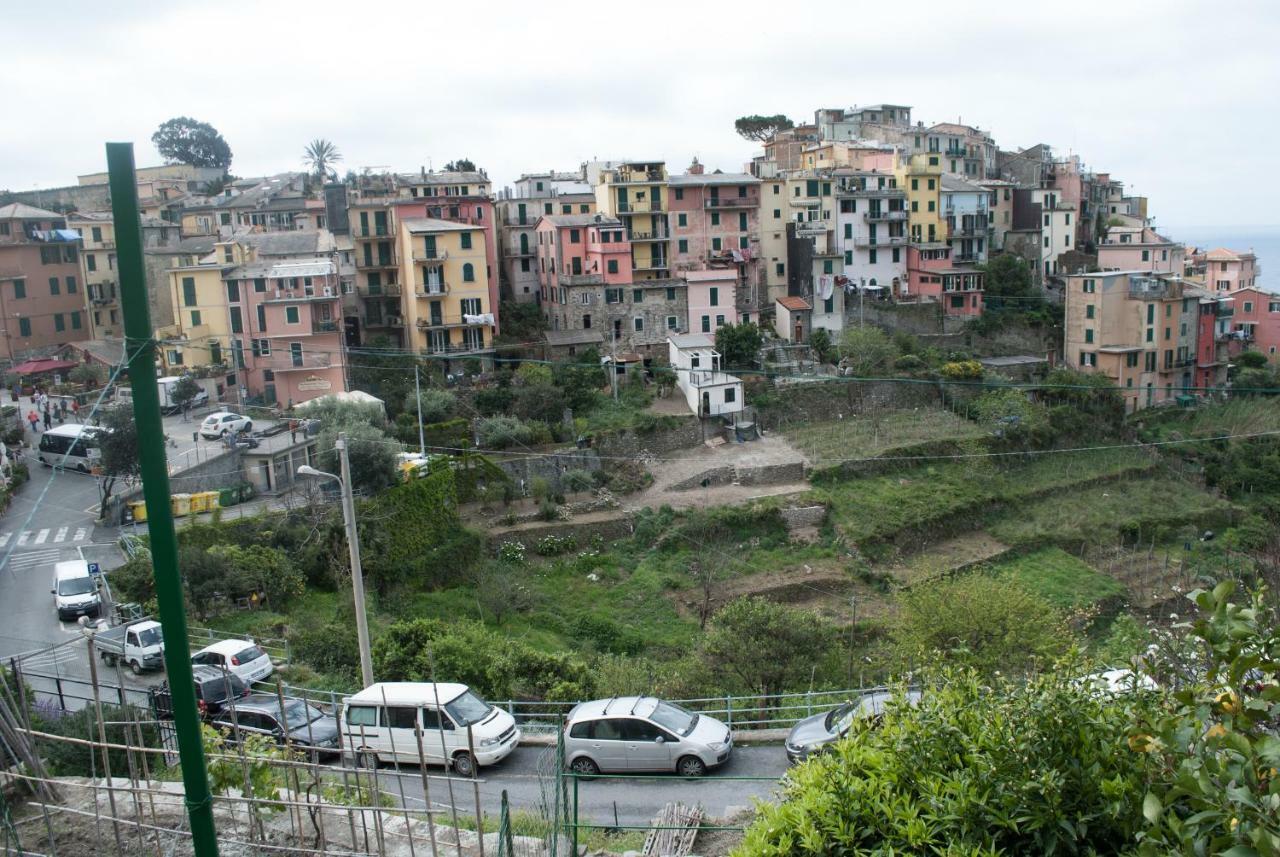 Appartement Sea View Garden à Corniglia Extérieur photo